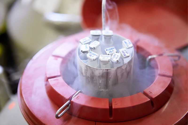 Fertility Preservation Services in Pune | Cryopreservation in Pune