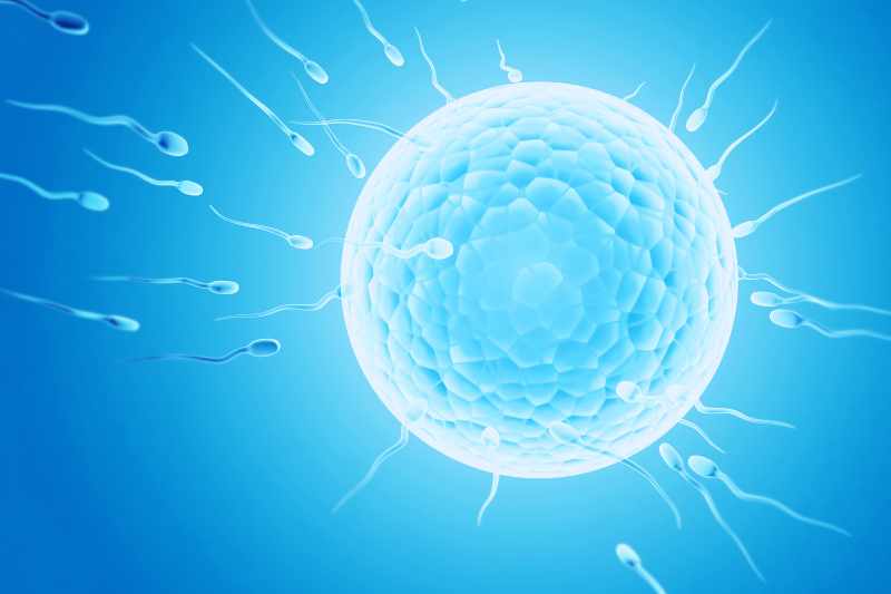 Ovulation Induction Treatment for Infertility in Pune | City Fertility Centre